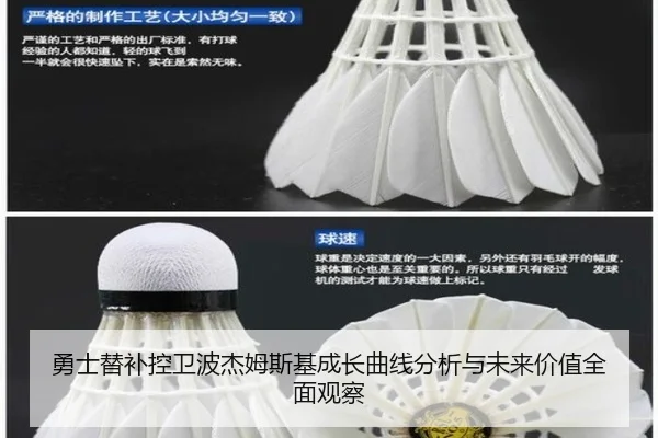 勇士替补控卫波杰姆斯基成长曲线分析与未来价值全面观察